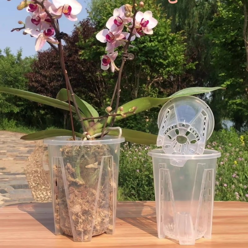 透明植物盆供应商 - 加厚设计促进生长