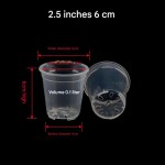 兰花盆厂家 - 6英寸透明带孔