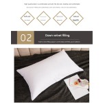 羽绒枕供应商 - 白色酒店品质鹅毛