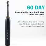 电动牙刷供应商 - 个性化软刷时尚