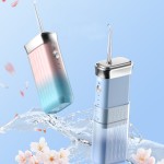 牙线供应商 - 一次性可降解批发