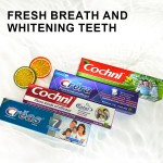 草本牙膏厂家 - 高品质110克植物提取