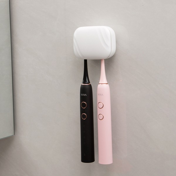 正畸存储盒供应商 - 苹果形保持器批发