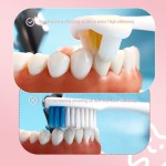 宠物牙刷厂家 - 硅胶手指宠物用批发