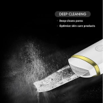 皮肤清洁器供应商 - 便携二合一电动8022