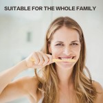 竹牙刷供应商 - CE认证可降解竹炭批发