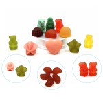 Vegan Gummy Candy Supplier - OEM Custom Natural Flavor Multivitamin Pectin Men