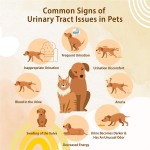 宠物泌尿零食供应商 - 台湾OEM ODM蔓越莓提取物尿道健康