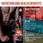 Muscle Support Powder Supplier - Taiwan OEM ODM Gym Recovery Soy Supplement