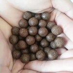 10pcs Vaginal Detox Pearls Beautiful Life Women's Gynaecology Pad Chinese Medicine Swab Tampons for Discharge Toxins Yoni Pearls