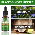 Private Label Natural Castor Oil for Hair Serum Anti Loss Regrowth for Bald Rosemary Oil Treatment Biotin Hair Growth Serum Oil