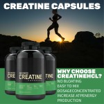 High Quality Monohydrate Creatine and Protein Powders Bulk Capsule Atom Direct From Factory Amino Acid Product Category