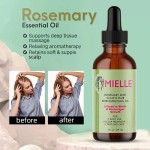 Hair Grow Shampoo Hair Loss Organic Rosemary Ginger Tea Tree Oil Shampoo Cleansing Shampoo & Conditioner for Men and Women
