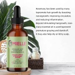 Hair Grow Shampoo Hair Loss Organic Rosemary Ginger Tea Tree Oil Shampoo Cleansing Shampoo & Conditioner for Men and Women