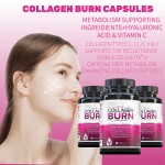 2000 mg Multi-Collagen Protein Supplement Hydrolyzed Types I II III V X Keto & Paleo Friendly Non-GMO Gluten-Free