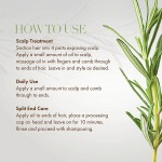 Hair Grow Shampoo Hair Loss Organic Rosemary Ginger Tea Tree Oil Shampoo Cleansing Shampoo & Conditioner for Men and Women