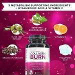 2000 mg Multi-Collagen Protein Supplement Hydrolyzed Types I II III V X Keto & Paleo Friendly Non-GMO Gluten-Free