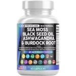 Sea Moss Capsules Factory - Certified Organic Bladderwrack Irish