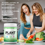 Vegan Protein Powder Factory - Halal Health Food Supplement Powder