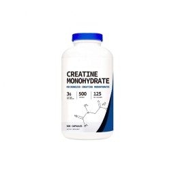 Creatine Monohydrate Powder Supplier - Sports Nutrition Supplement