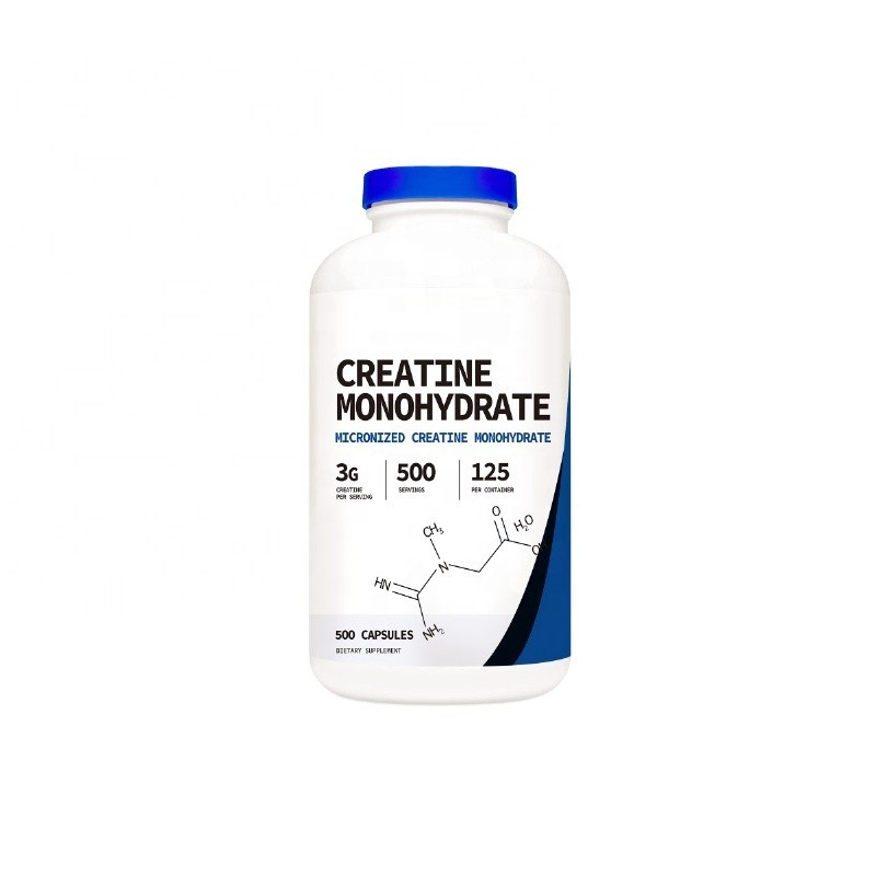 Creatine Monohydrate Powder Supplier - Sports Nutrition Supplement