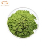 Qasil Powder Supplier - Wholesale Natural Cosmetic Ingredient OEM