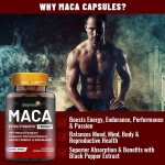 Maca Capsules Factory - OEM Natural Dietary Supplement Pills