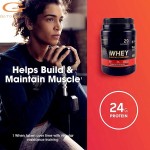 Whey Protein Powder Manufacturer - Halal Fast Muscle Building Powder