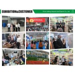 Urolithin A Capsules Manufacturer - 500mg Antioxidant Softgel