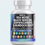Sea Moss Capsules Factory - Certified Organic Bladderwrack Irish