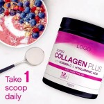 Collagen Powder Factory - Pure Vegetarian Gluten Free Single