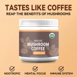 Reishi Lions Mane Extract Supplier - Organic Mushroom Coffee Blend