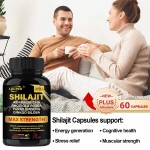 Shilajit Capsules Factory - Ashwagandha Extra Strength 60 Capsules