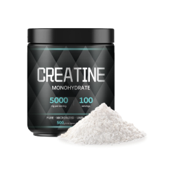 Creatine Monohydrate Powder Manufacturer - Daily Pre Workout Supplement