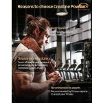 Creatine Monohydrate Powder Manufacturer - OEM Fast Muscle Building Supplement