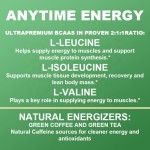 BCAA Powder Manufacturer - Instantized Unflavored Pre Post Workout