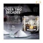 Creatine Monohydrate Powder Manufacturer - OEM Fast Muscle Building Supplement