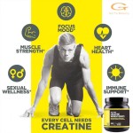 Creatine Protein Powder Manufacturer - Customized Micronized for Adults