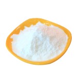 鼠李糖乳杆菌粉末生产厂家 - 高纯度gg菌株