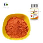 辅酶Q10粉末生产厂家 - 辅酶Q10抗氧化