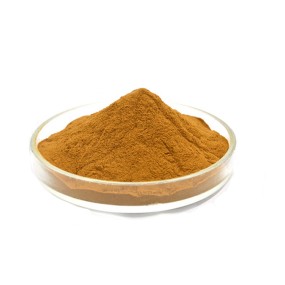 Rhodiola Extract Supplier - 6% 5% Pure Powder