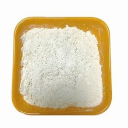 胶体银粉末生产厂家 - 99%纯品CAS 7440-22-4