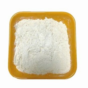 胶体银粉末生产厂家 - 99%纯品CAS 7440-22-4