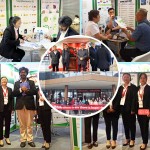 2-异丙基硫杂蒽酮粉末供应商 - 化学中间体