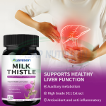 Milk Thistle Capsules Factory - OEM 500mg Silymarin Extract
