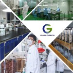 Epimedium Extract Factory - 10% Icariin Organic Powder