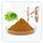Chlorogenic Acid Powder Factory - 50% 98% Food Grade