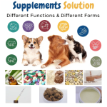 Gut Health Supplement for Dogs Supplier - High Content Pre Probiotics Chews
