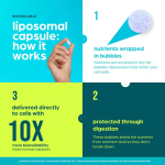 NAD+白藜芦醇营养品生产厂家 - 可定制OEM ODM批发有机抗衰