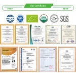 Melasma Tablets Manufacturer - Plant Based Antioxidant Rich